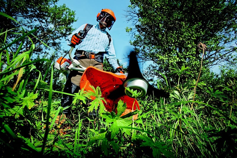 Shared Harvest Image